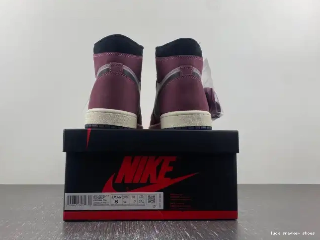 Reps LUCY 1 Gore-Tex Element DB2889-500 Jordan Air 0424